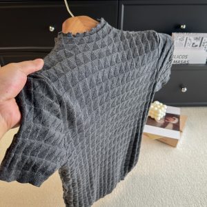 Korean Style Waffle Knit Top for Women 2026 Early Autumn Slimming Versatile Round Neck Short Sleeve
